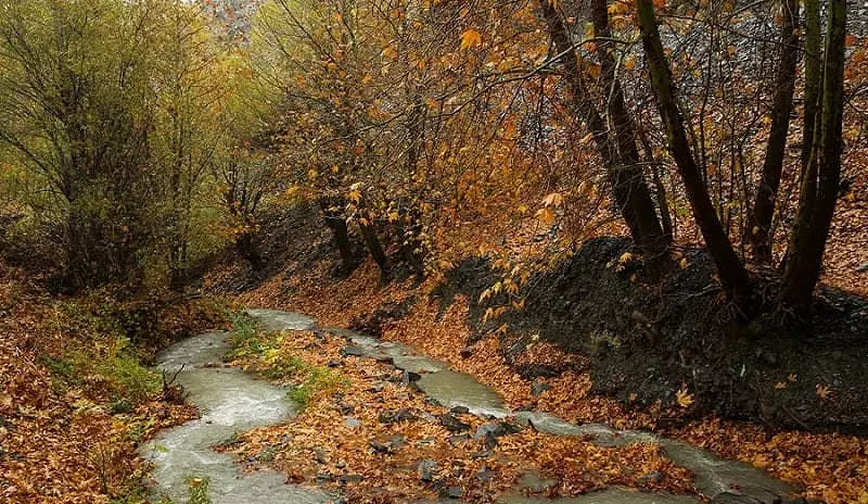 طبیعت پاییزی روستای جاغرق